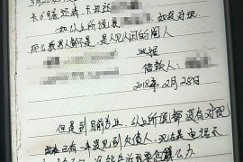 双鸭山为什么选择专业追讨公司来处理您的债务纠纷？